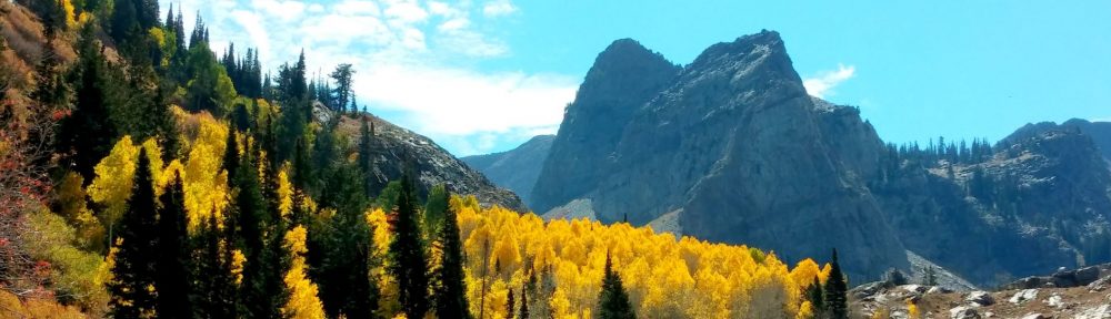 Big Mountain Insurance Group